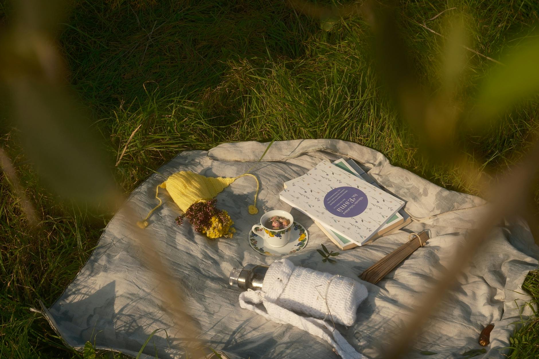 Piknik na trawie z kocem, książką i kubkiem herbaty